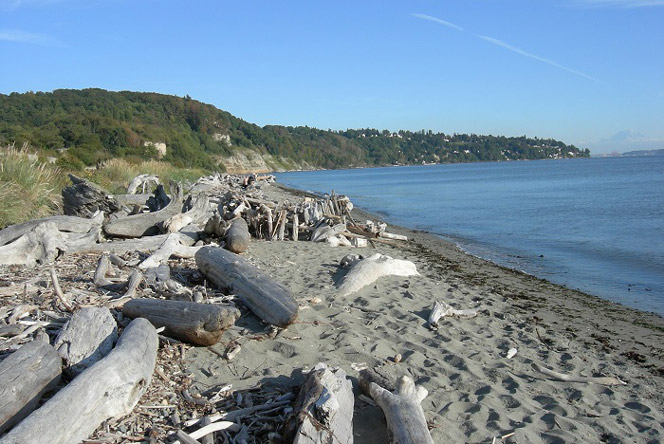 Discovery Park Discovery Park